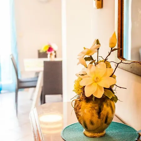 Spring Apartment Apartment